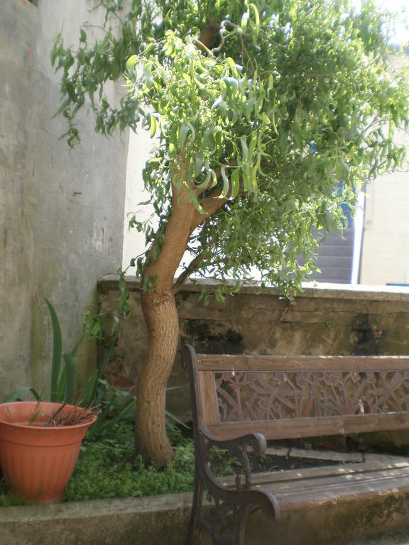 Chambres D'hotes La Belle Haute Boulogne-sur-Mer